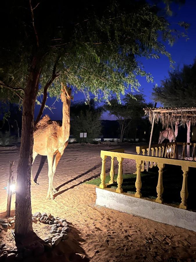 Golden Palm Oasis Hotel Fulayj al Masha'ikh Bagian luar foto