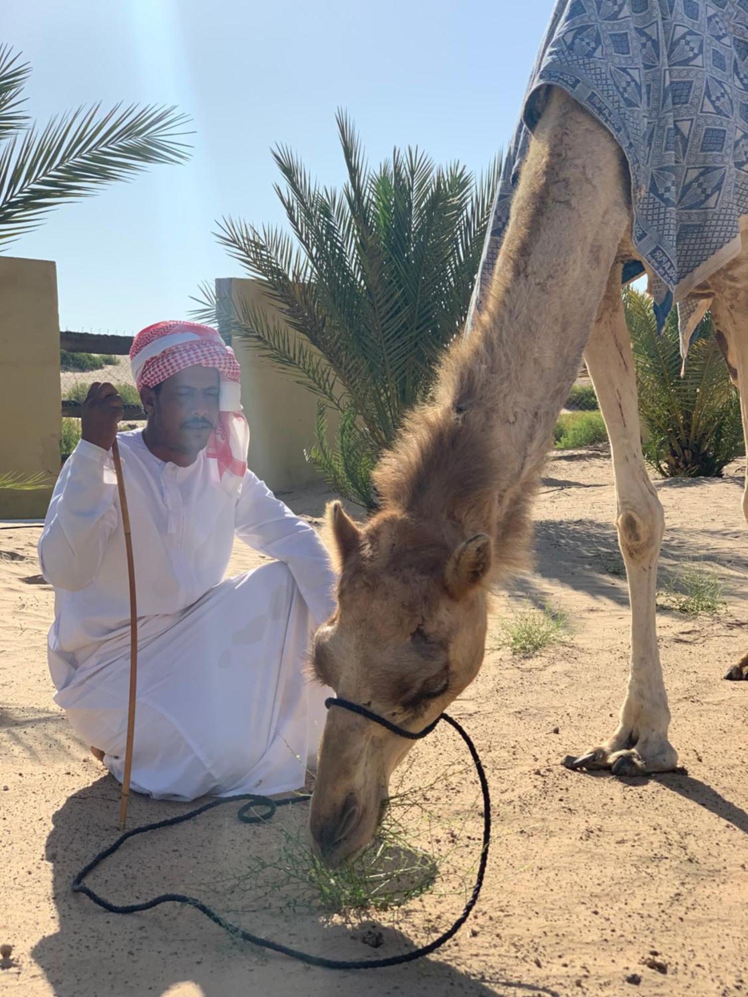 Golden Palm Oasis Hotel Fulayj al Masha'ikh Bagian luar foto