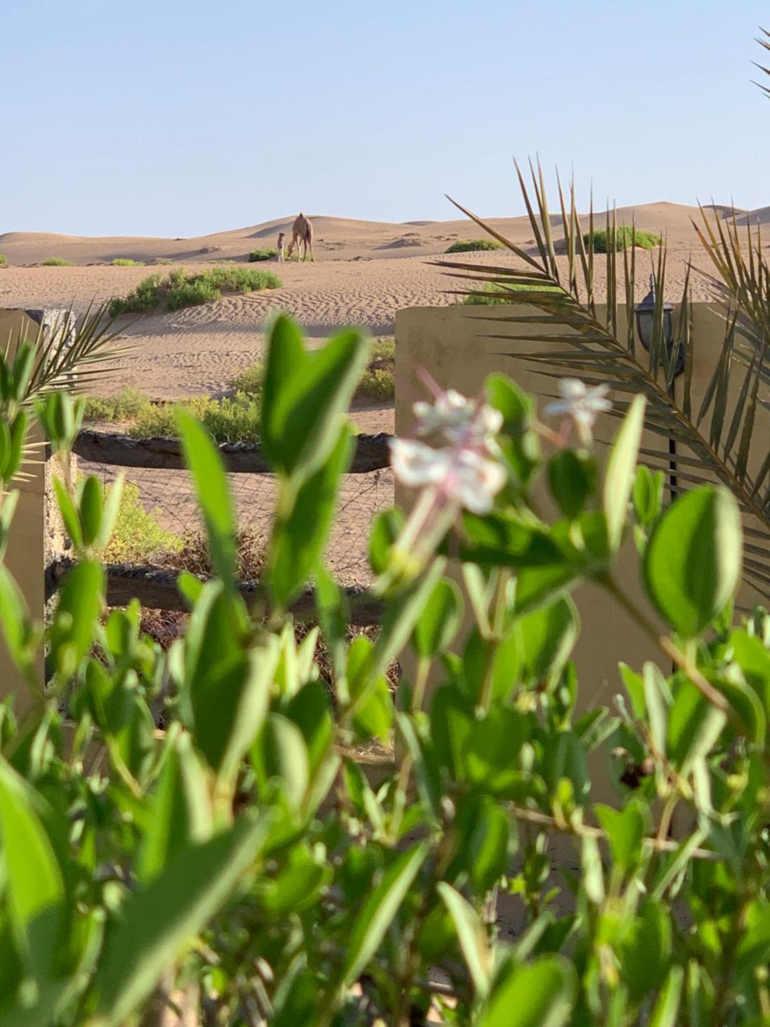 Golden Palm Oasis Hotel Fulayj al Masha'ikh Bagian luar foto